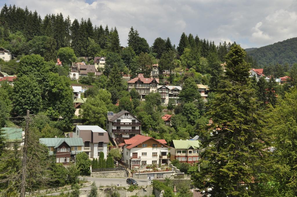 Hotel La Monitori Sinaia Zimmer foto